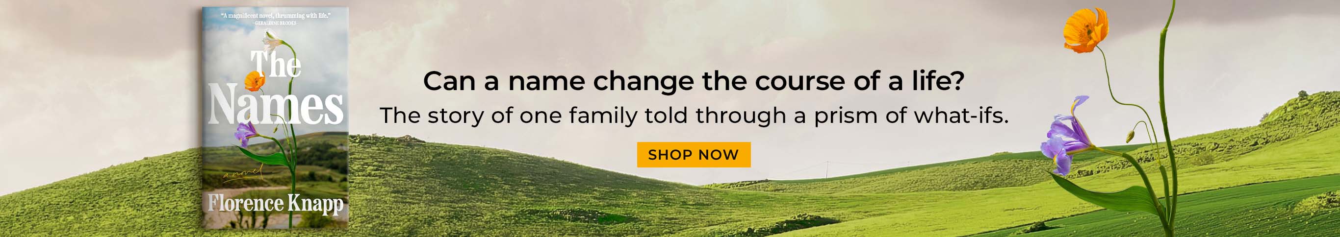 Can a name change the course of a life? The story of one family told through a prism of what-ifs. The Names: A Novel by Florence Knapp. Shop Now